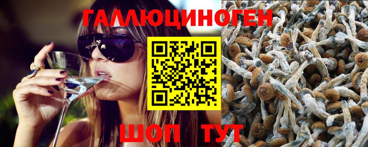 закладки  Галлюциногенные грибы прущие грибы  Вход с VPN  Галлюциногенные грибы Cubensis  Обь 